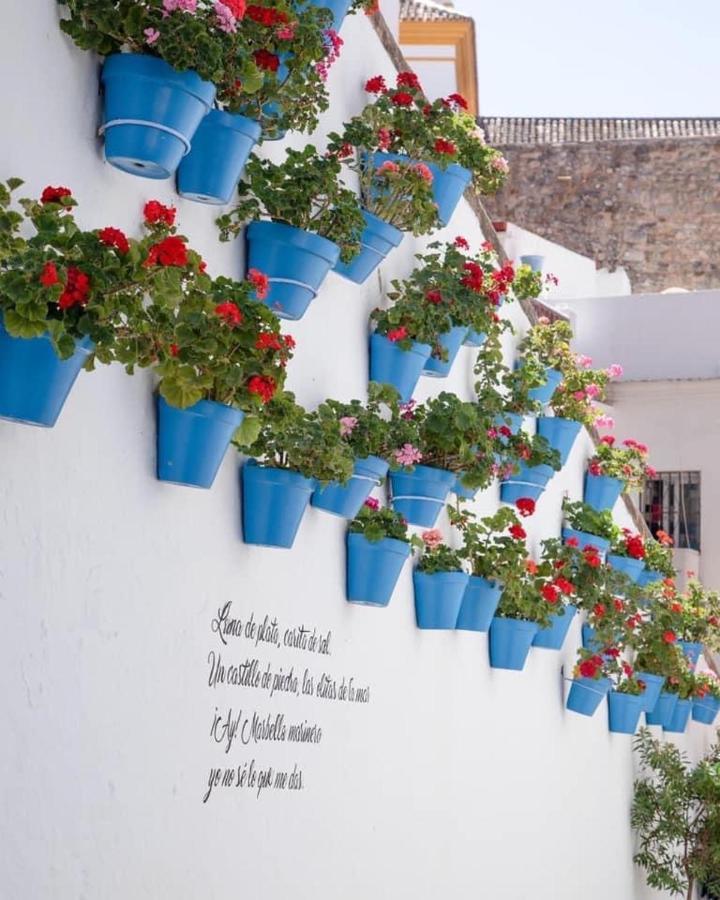 Amazing ,center Of Marbella, 338 Apartamento Marbella