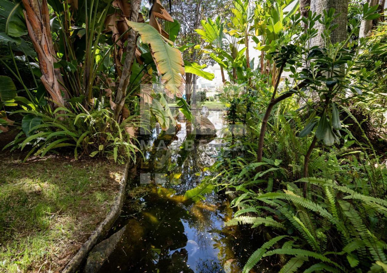 Apartamento Amazing ,center Of Marbella, 338 *